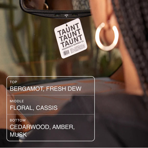 DedCool Air Freshener 01 "Taunt"