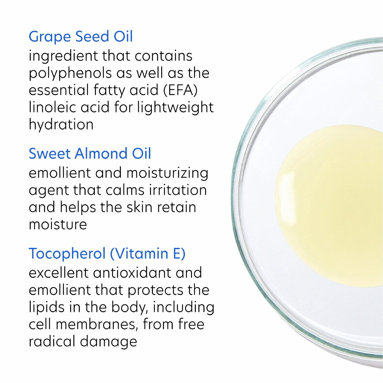 PCA Skin Daily Cleansing Oil