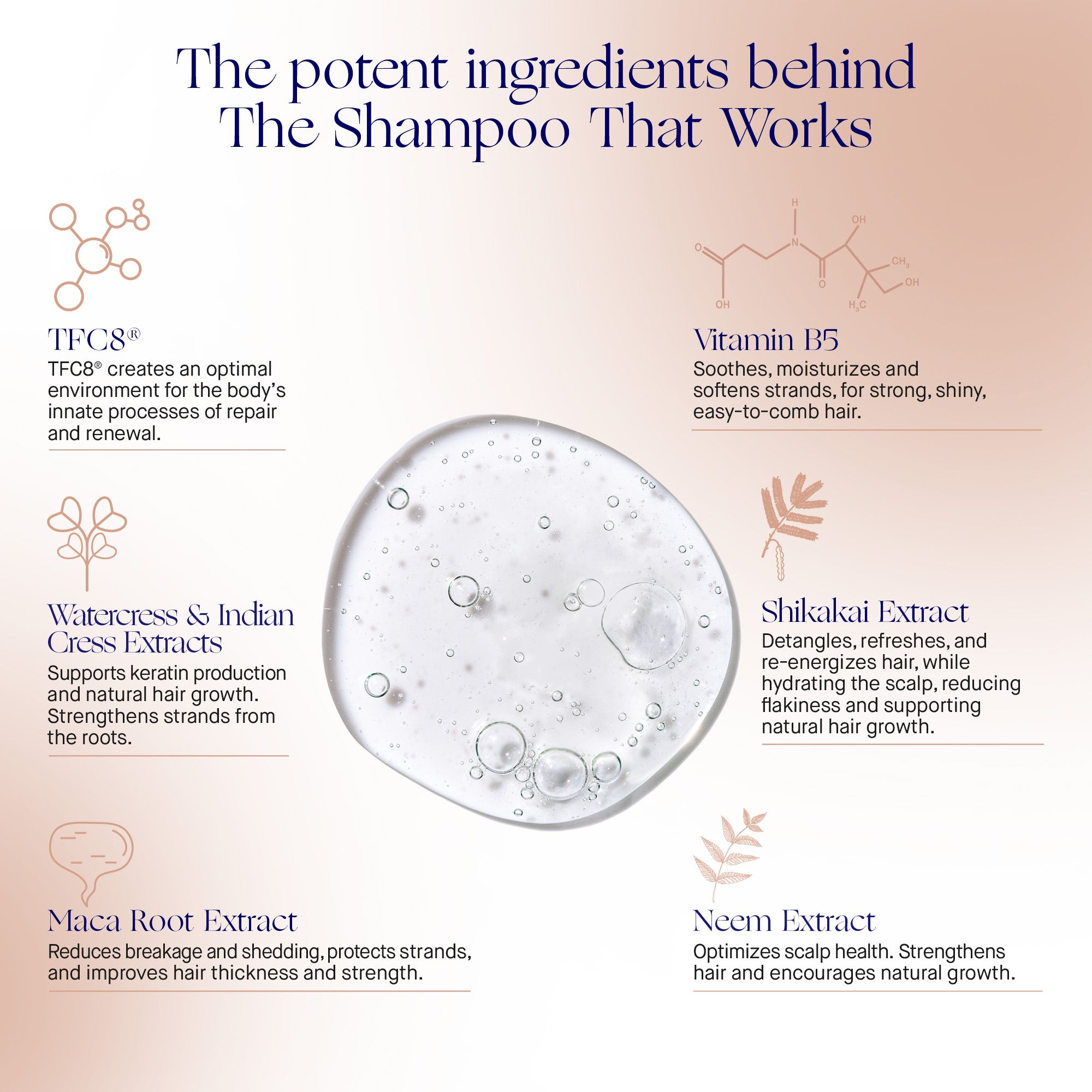 Augustinus Bader The Shampoo