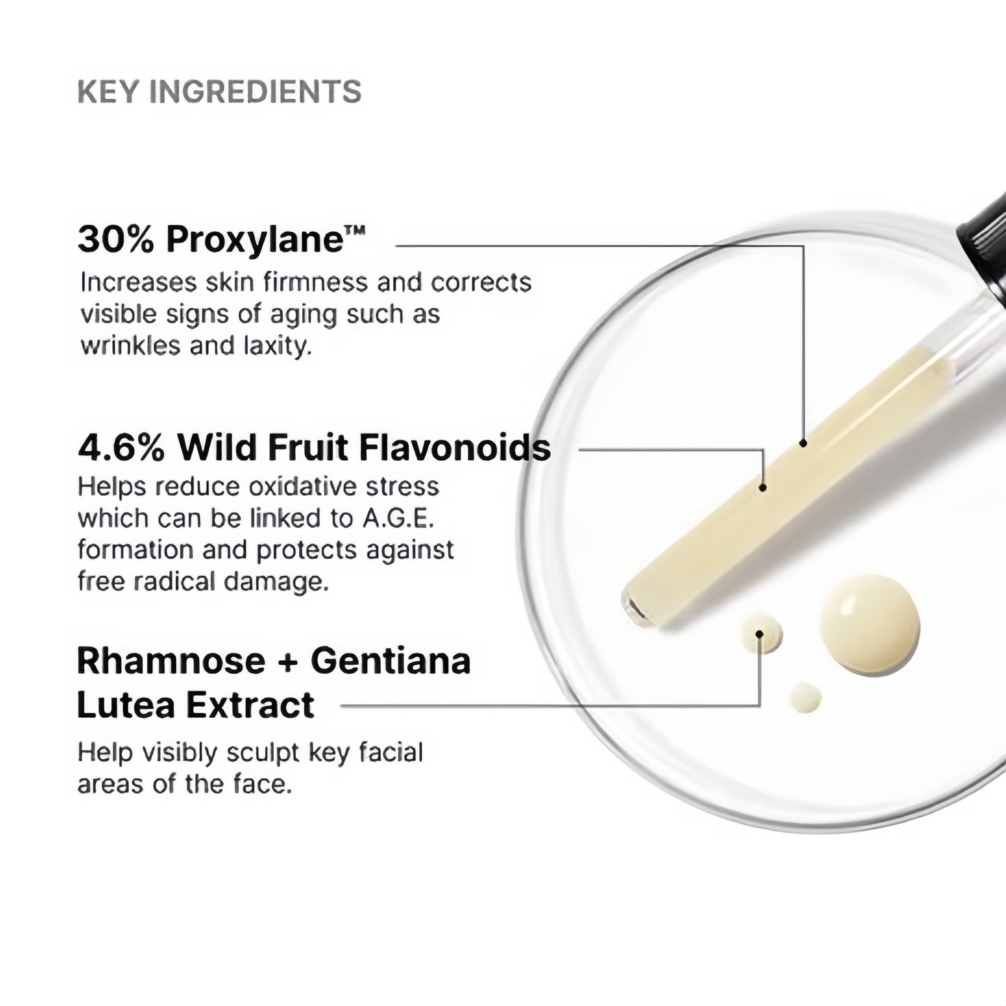 SkinCeuticals A.G.E. Interrupter Ultra Serum