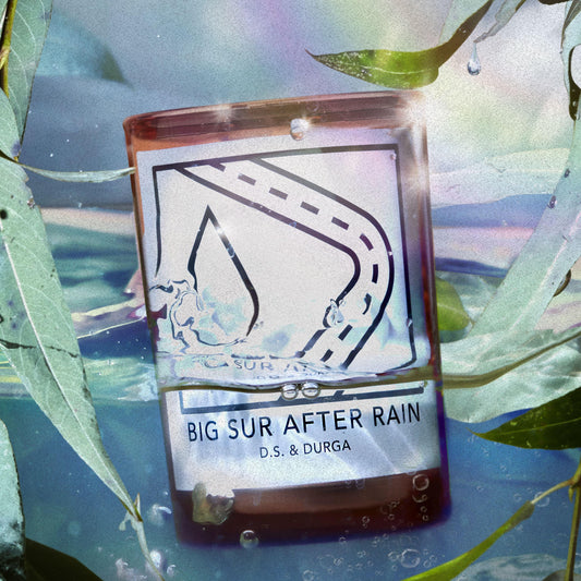 D.S. & DURGA Big Sur After Rain Candle