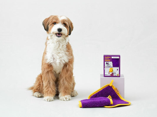 HoliPet Quick Dry Pocket Towel
