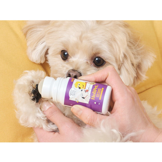 HoliPet Jelly Bounce Foot Roll-On