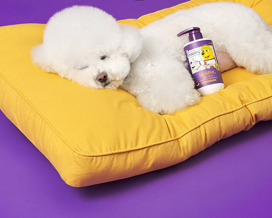 HoliPet Silky Drop Solution Shampoo