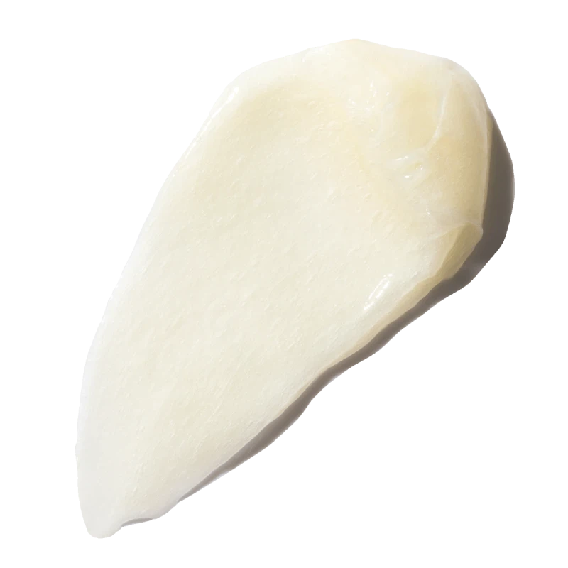 Augustinus Bader The Rich Conditioner