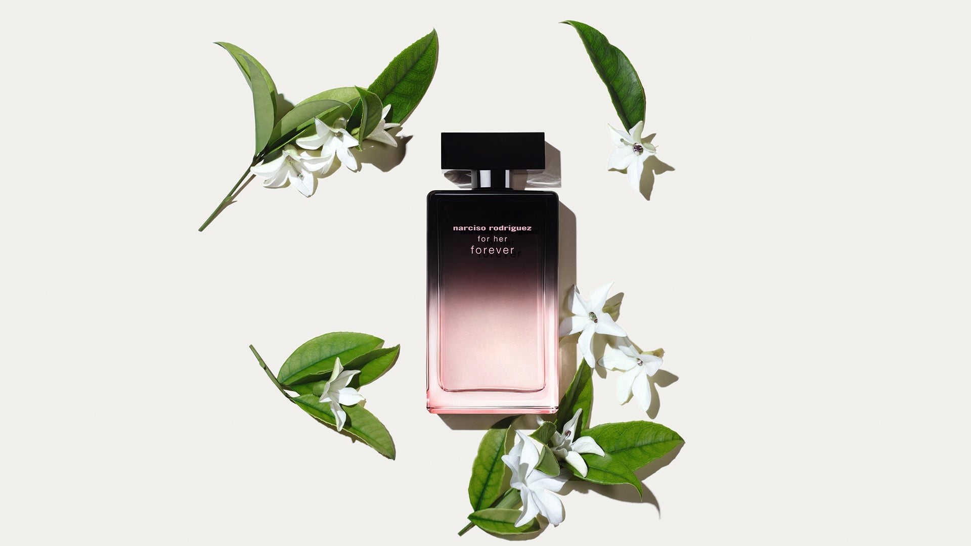 Narciso Rodriguez Fragrances For Her