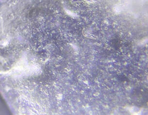 Broad-spectrum protection with cosmetic elegance 