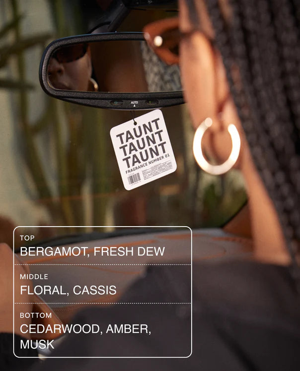 DedCool Air Freshener 01 "Taunt"