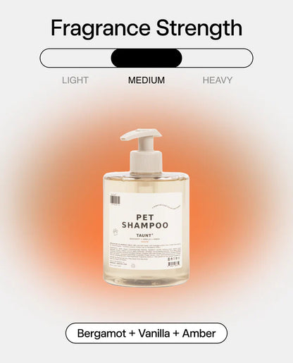 DedCool Pet Shampoo 01 "Taunt"