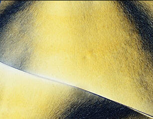 The most abundant, pure form of vitamin E neutralizes free radicals and replenishes skin’s lipids.