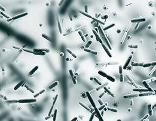 An amino acid to help boost cellular energy and activate cell renewal cycles. Also helps to maintain moisture in skin. 