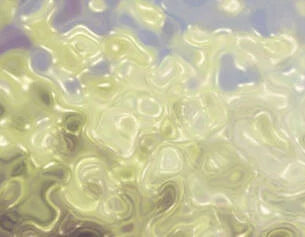 Rich in isolated soy isoflavones, this ingredient stimulates collagen and hyaluronate production to firm skin.
