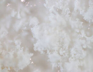 A derivative of silicon dioxide and a naturally occurring mineral, hydrated silica lifts and removes dead skin cells, excess oil, and debris from the skin’s surface.