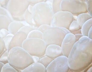 Derived from vitamin B5, panthenol is an effective humectant that helps skin absorb and retain moisture from the environment