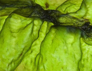 A natural ingredient derived from brown seaweed, known to hydrate and soothe skin.