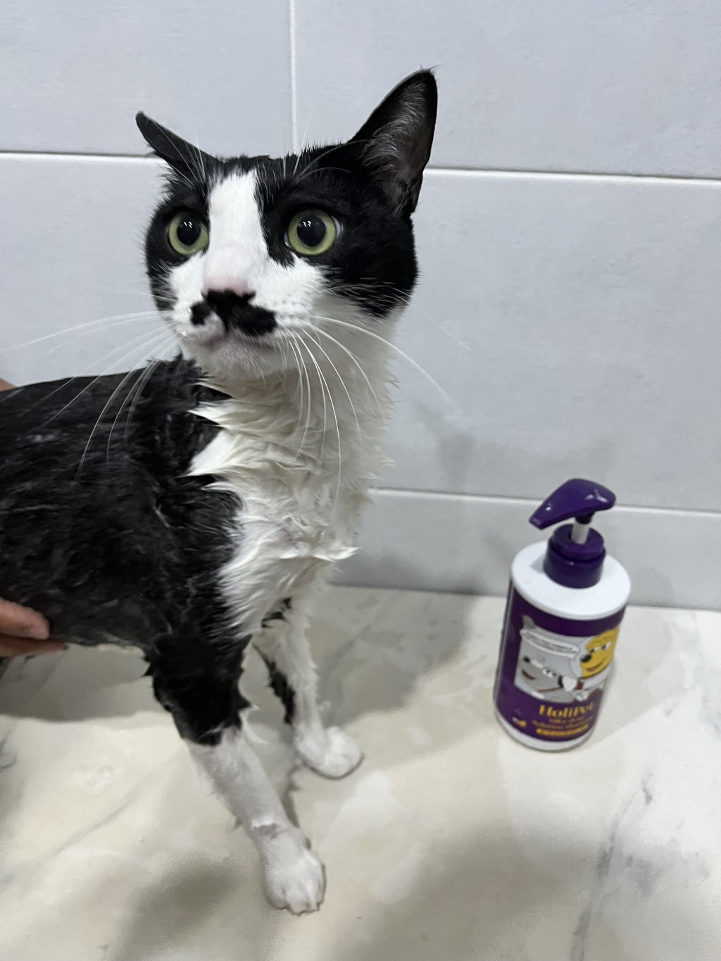 HoliPet Silky Drop Solution Shampoo