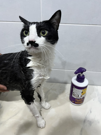 HoliPet Silky Drop Solution Shampoo