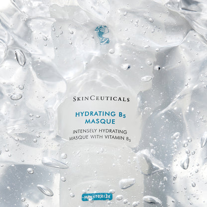 SkinCeuticals Hydrating B5 Masque
