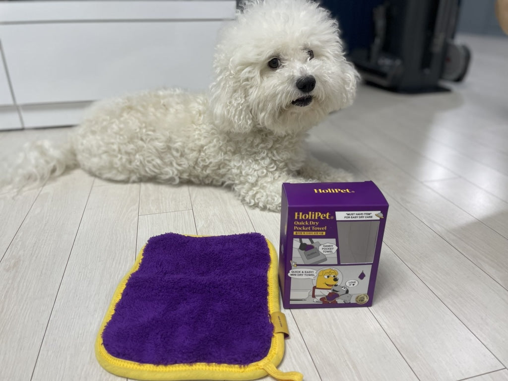 HoliPet Quick Dry Pocket Towel