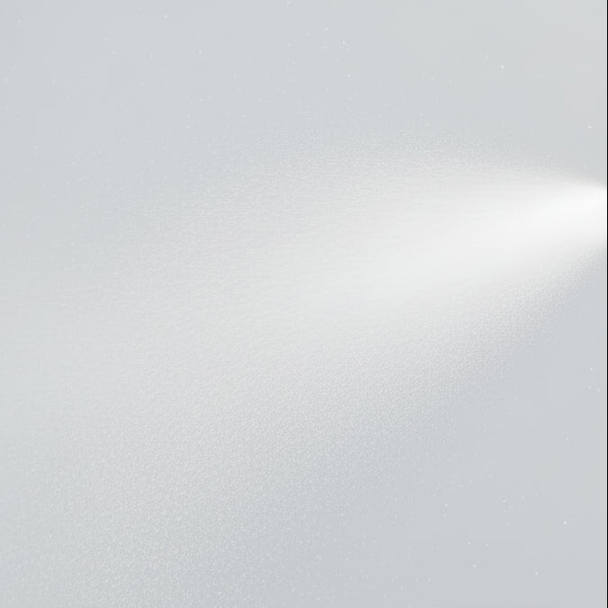 Moroccanoil All in One Leave-In Conditioner