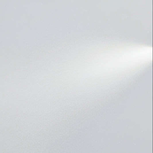 Moroccanoil Dry Texture Spray