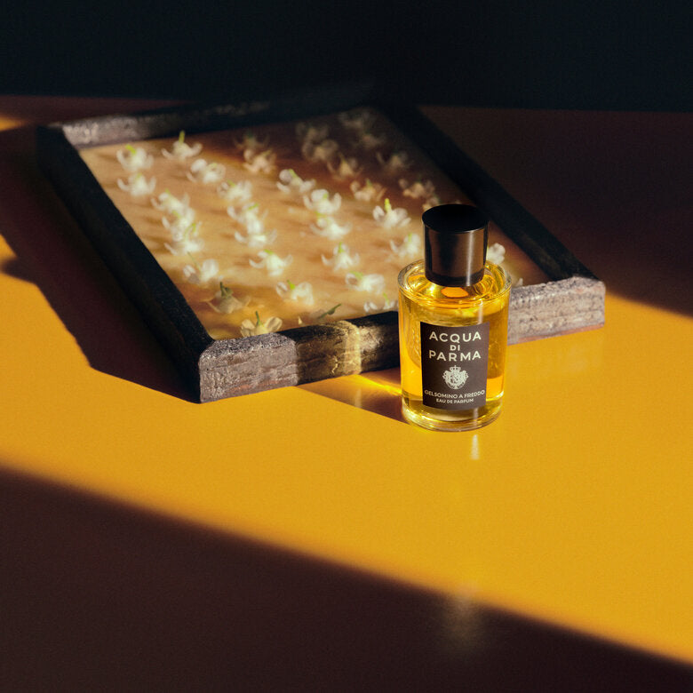 Acqua Di Parma Gelsomino A Freddo EDP – Oh Beauty