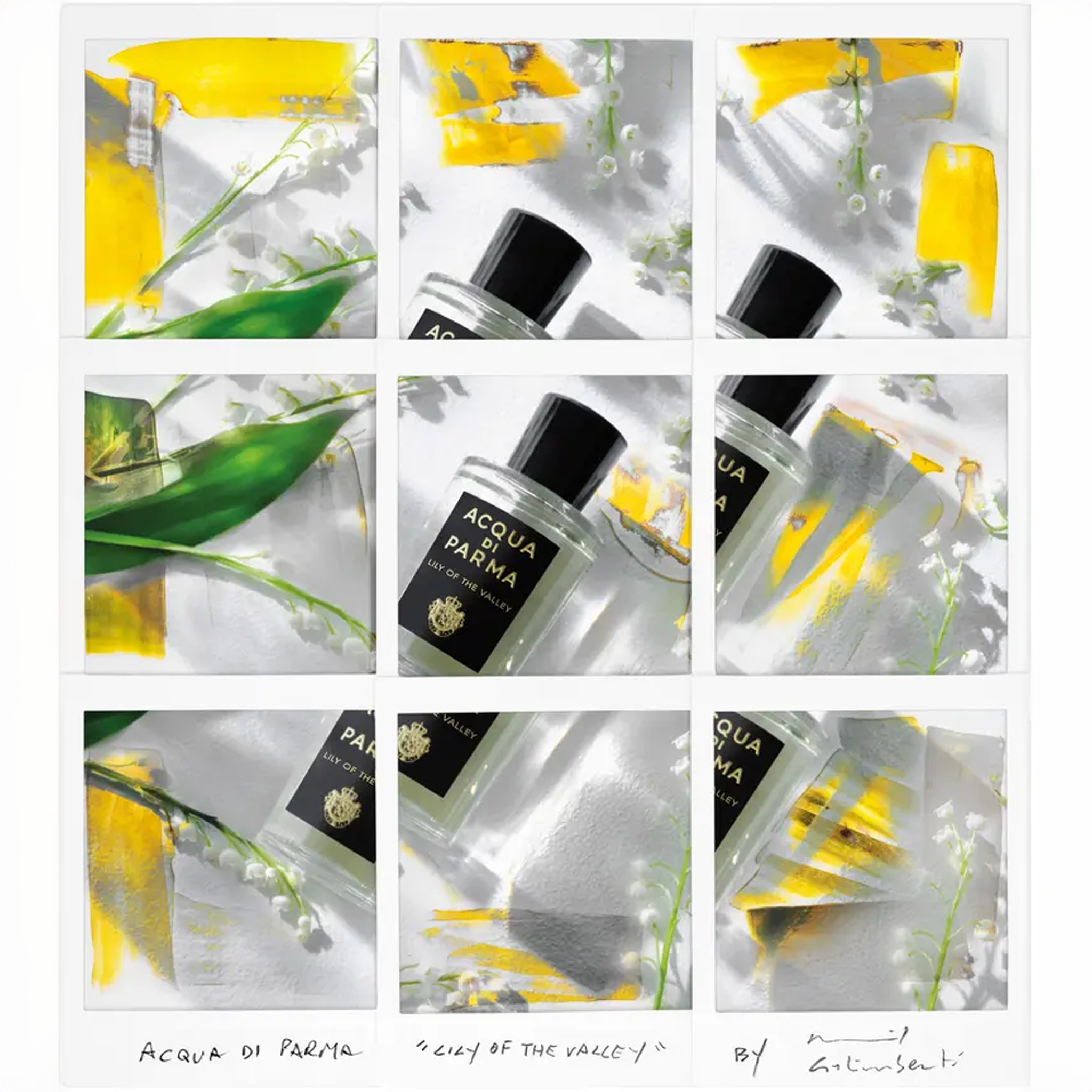 Acqua Di Parma Signature Lily of The Valley EDP