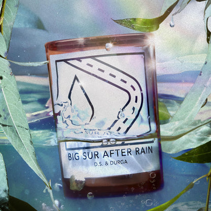 D.S. & DURGA Big Sur After Rain Candle