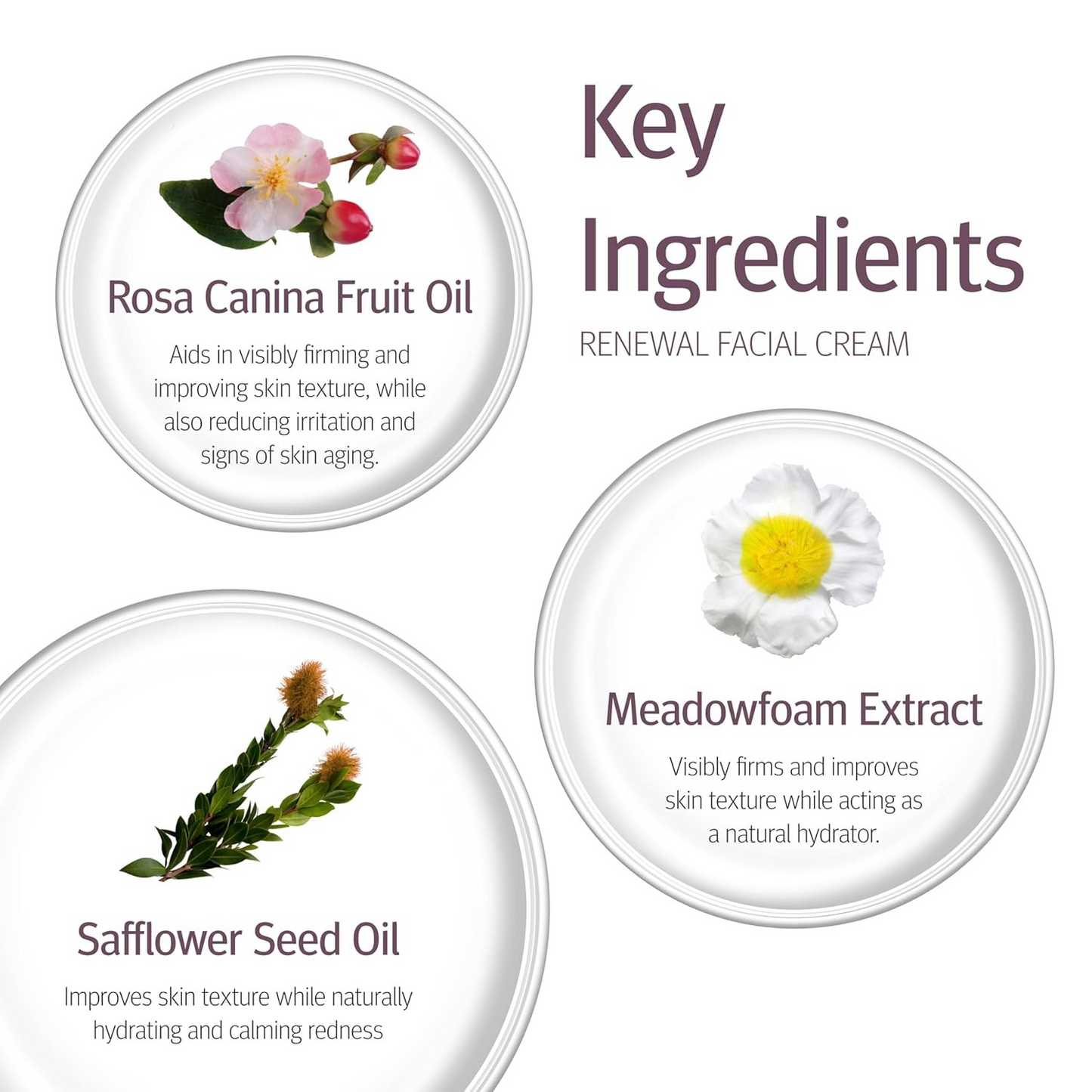 Epionce Renewal Facial Cream
