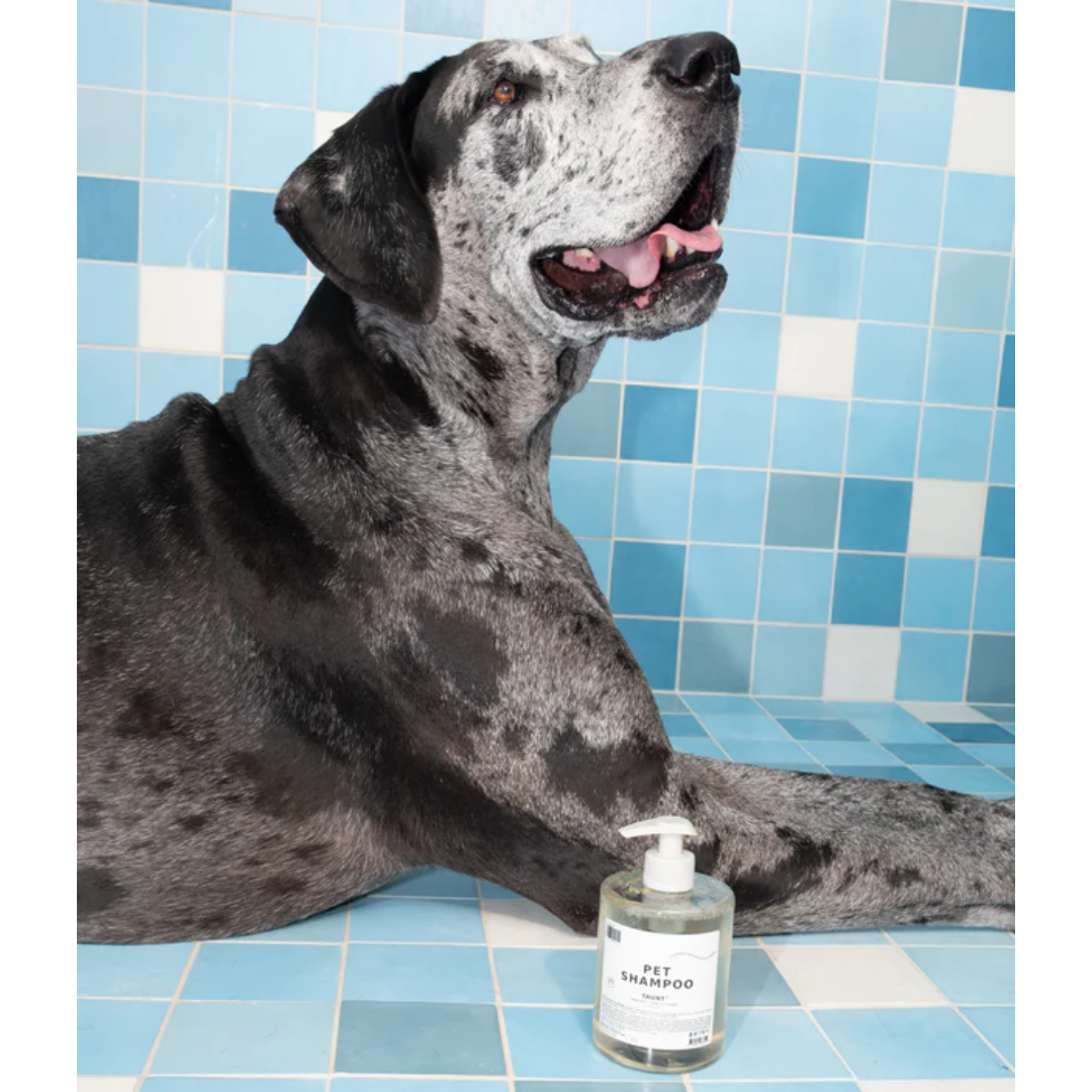 DedCool Pet Shampoo 01 "Taunt"