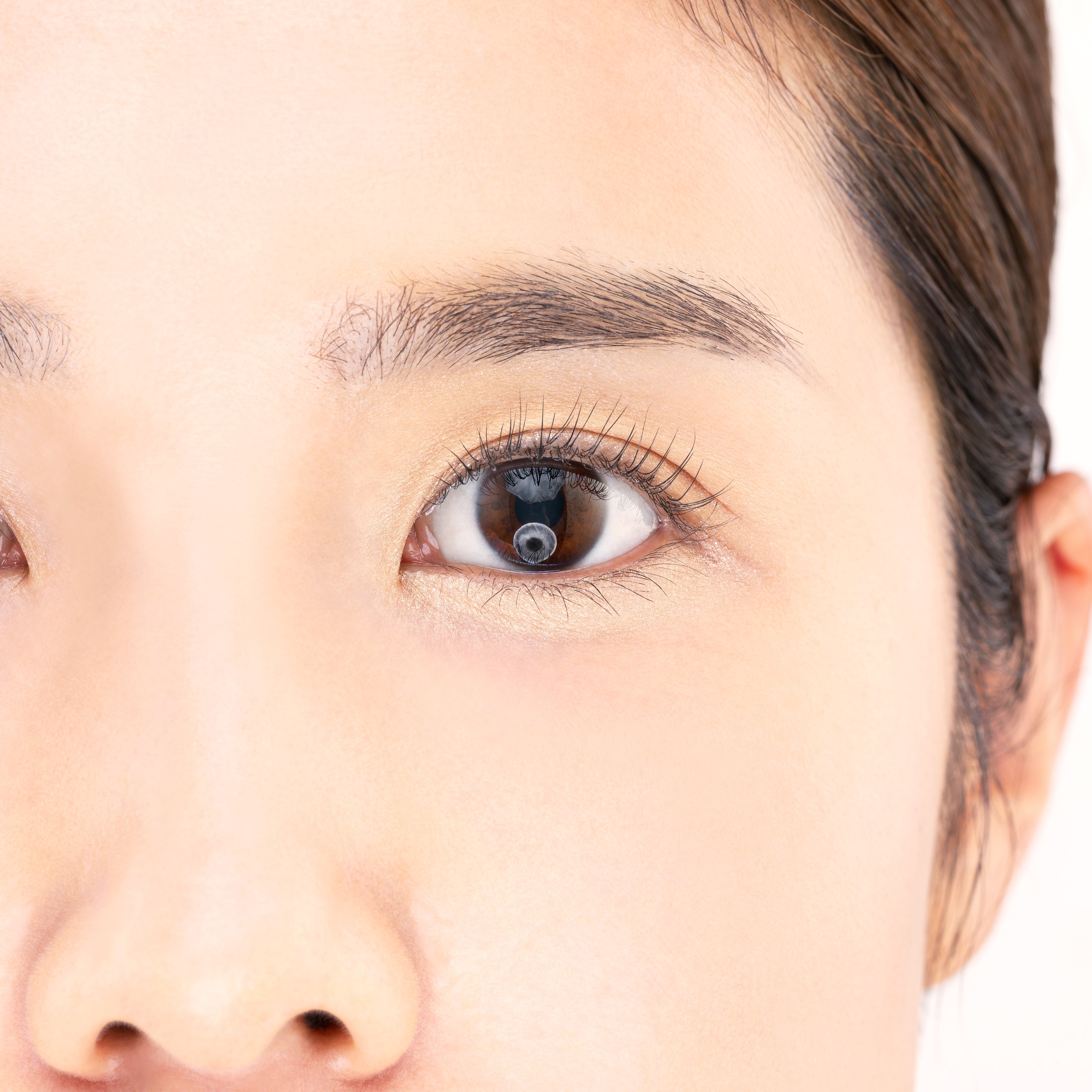 Paul & Joe Eye & Face Color CS
