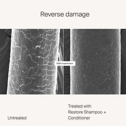 Living Proof Restore Shampoo