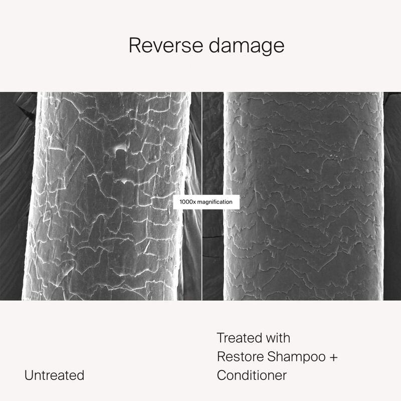 Living Proof Restore Shampoo