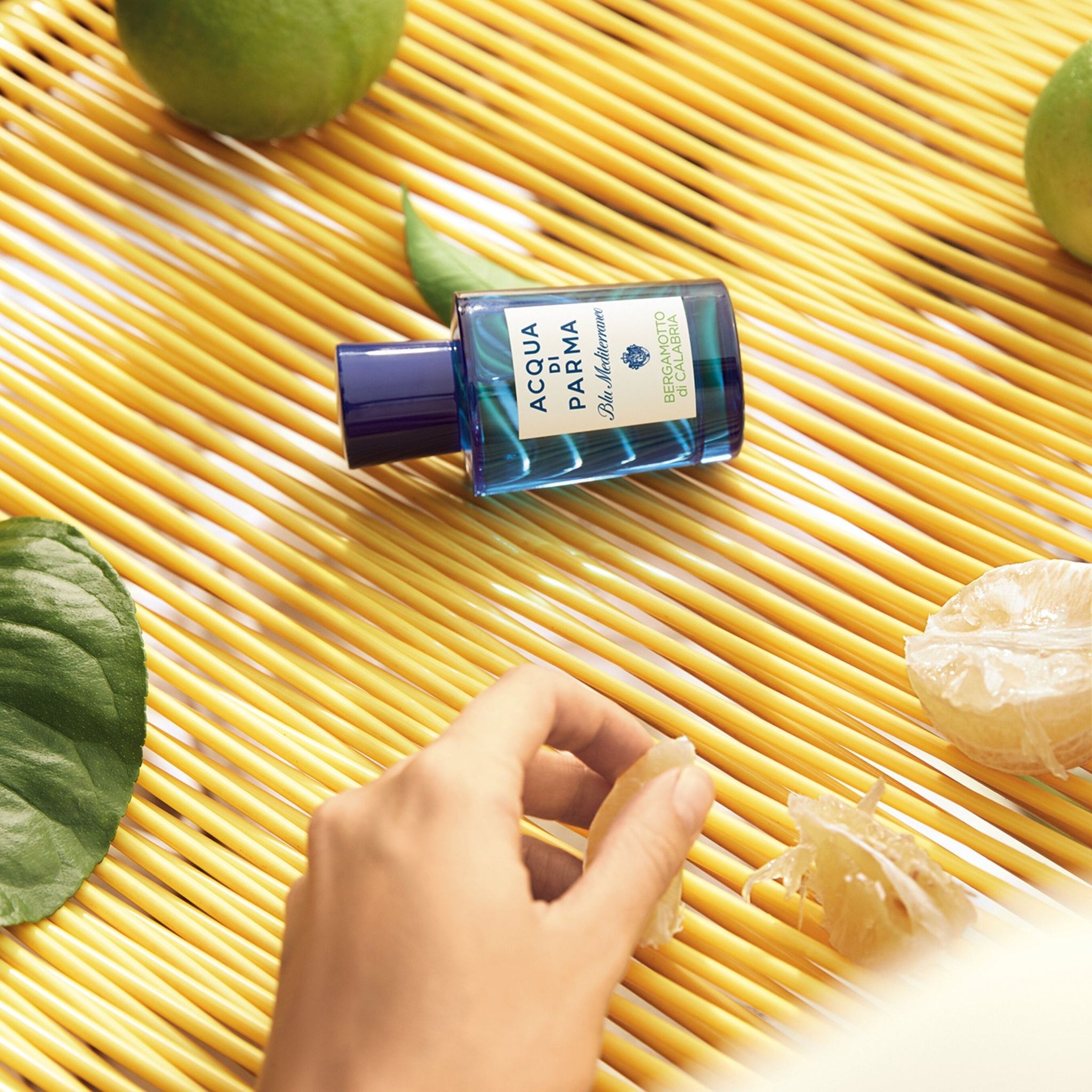 Limited Edition Bergamotto La Spugnatura Acqua Di Parma Bergamotto