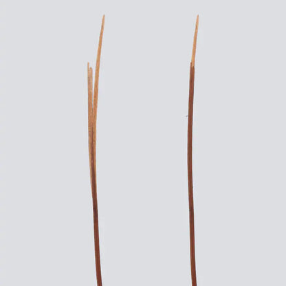 Virtue Perfect Ending Split End Serum